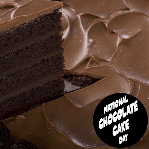 Today is national chocolate cake day and national strawberry day so. National Chocolate Cake Day - January 27, 2020 in 2020 | National chocolate cake day, Cake day ...