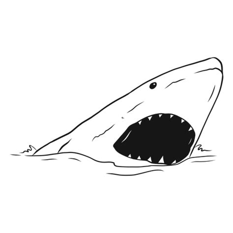 Free 336 Shark Mouth Open Svg Svg Png Eps Dxf File