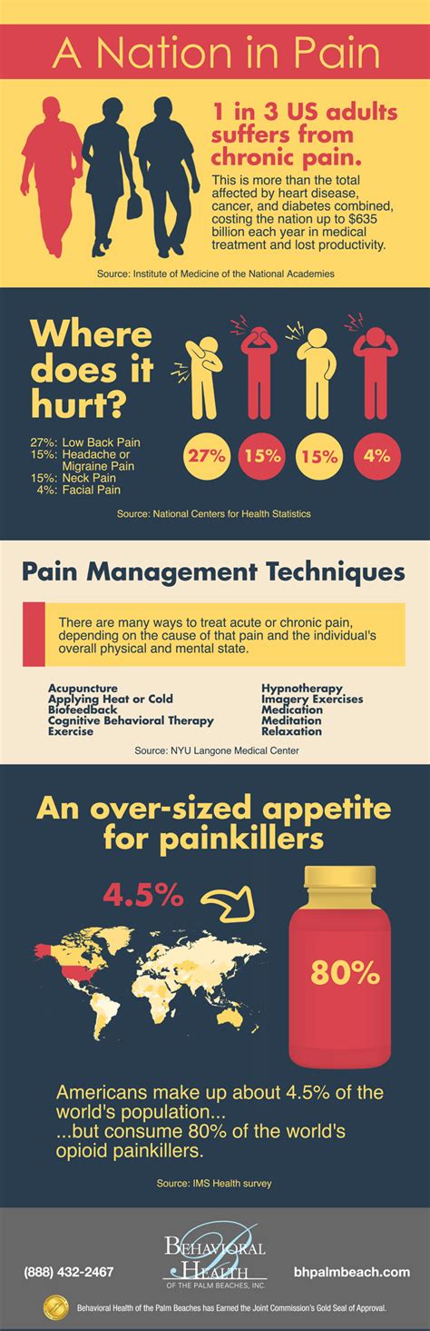 Infographic A Nation In Pain Behavioral Health Of The Palm Beaches