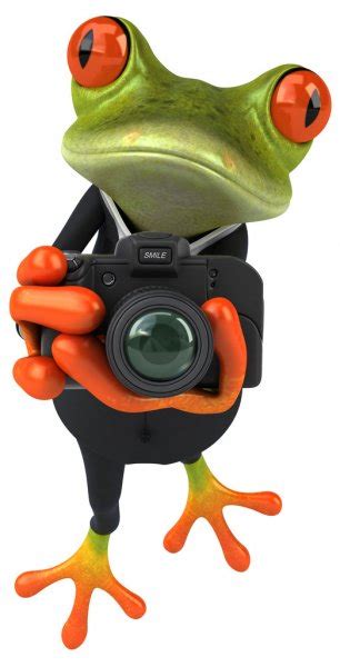 3d Frog Stock Photos Royalty Free 3d Frog Images Depositphotos