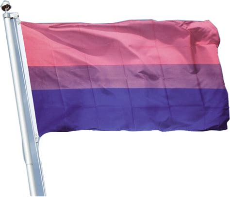 bisexual bisexualflag pride prideflag sticker by chisakanon
