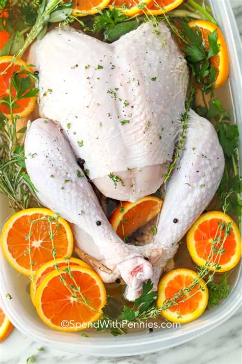 Best Turkey Brine All Recipes Pics Backpacker News