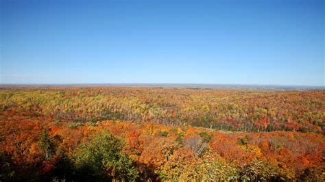 When Fall Colors Could Peak In Wisconsin In 2020