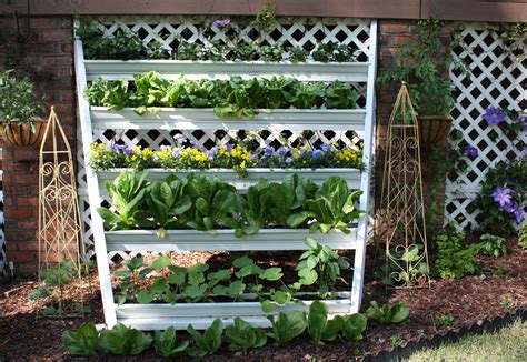 Vertical Vegetableflower Garden For Small Spaces