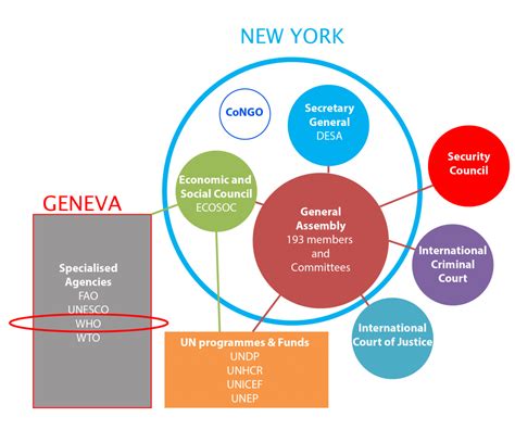 United Nations System Chart