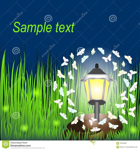 Moths And Grass Stock Photography 15984656