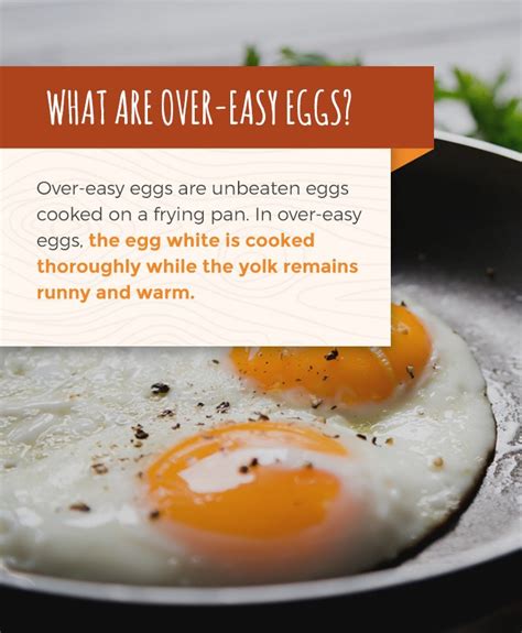 Egg Glossary Common Egg Terms And Definitions