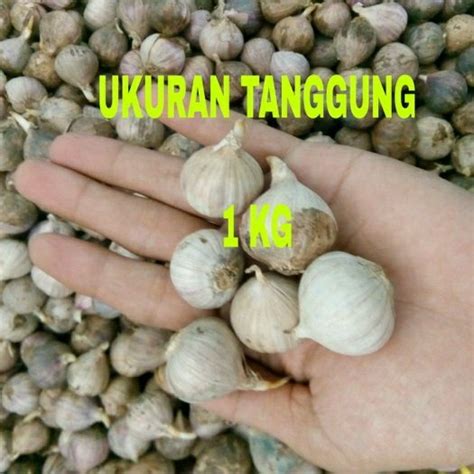 Bekerja mulai dari mengatasi jerawat, tekanan darah tinggi sampai sebagai anti kanker. Jual Bawang putih tunggal - Bawang putih lanang ukuran ...