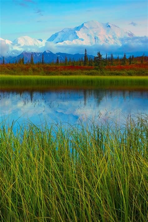 Denali National Park Spring Scenery Lake Mountains Iphone X 87654