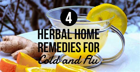 4 Herbal Home Remedies For Colds And Flu