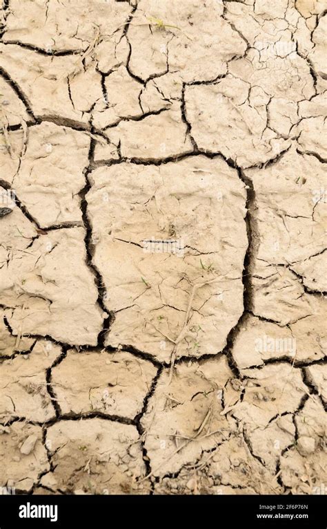 Dry Soil Cracked Muddy Ground Dried Mud With Cracks Flat Lay View