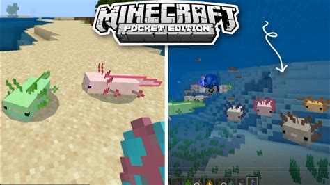 👉 Axolotl El Nuevo Mob De Minecraft 117 Ajolote Concept Addon Para