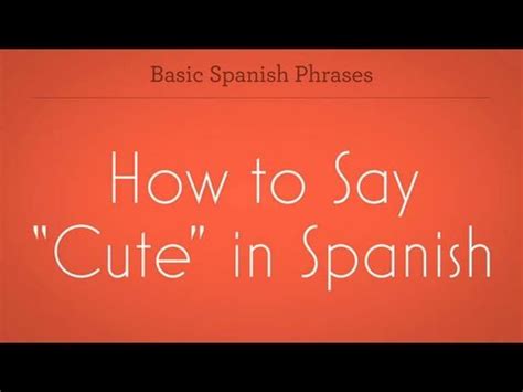 I asked him who broke the vase, but he didn't want to say.le pregunté quién había roto el florero, pero. How to Say "Cute" | Spanish Lessons - YouTube