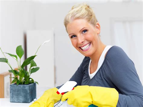 House Cleaning Services In Ottawa Carpet Cleaning Ottawa