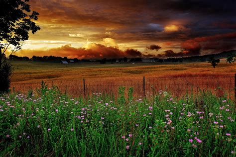 Country Farm Wallpaper Wallpapersafari