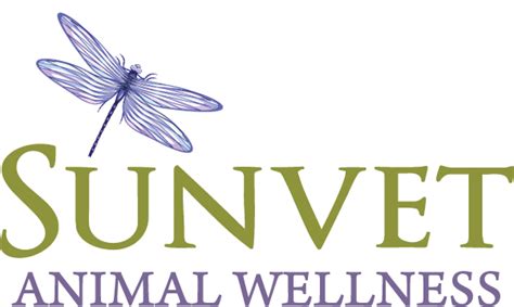 Holistic Veterinary Care From Sunvet Animal Wellness Asheville Nc