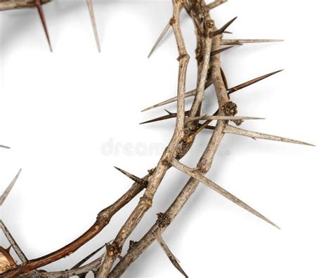 Why Did Jesus Wear The Crown Of Thorns Quora