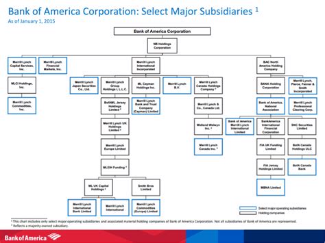 Ceap Cititor Recuzit History Of Organizational Structure Str Lucire Luciu Narcotic