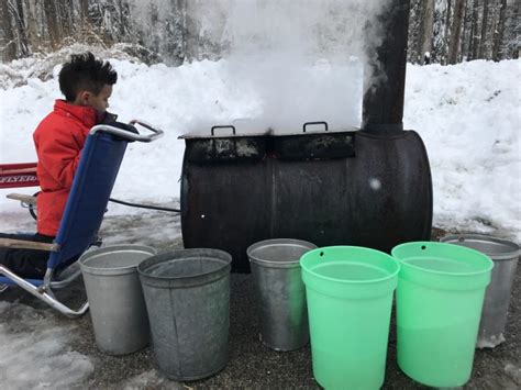 Our maple syrup tends to be lighter on color and more delicate in flavor than syrup we've tasted posted in wild edibles tagged backyard maple syrup production, boiling maple sap, canning maple. How to Make Maple Syrup in Your Own Backyard | Maple Syrup ...