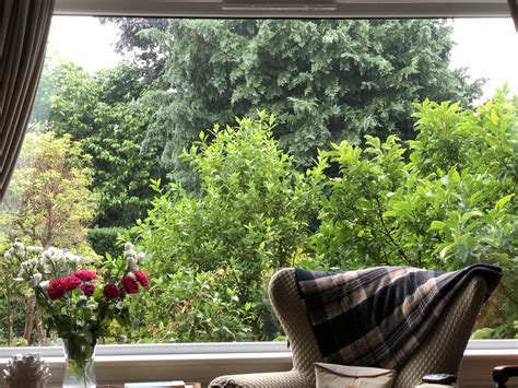 A Cozy Scottish Afternoon Drizzle Rraining