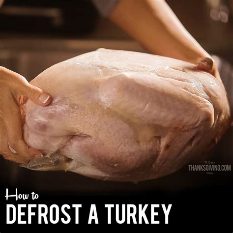 video how to thaw a turkey and more thanksgiving turkey tips