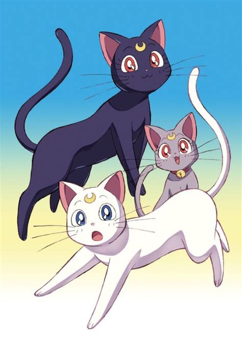 Three Cats Standing On Top Of Each Other In Front Of A Blue And Yellow Sky