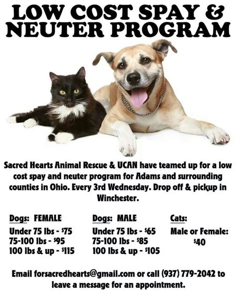 Low Cost Spay And Neuter Program In Adams County Oh Adams County