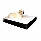 Pictures of Orthopedic Pet Beds For Dogs