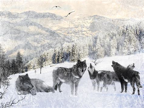 Winter Wolves Photograph By Lourry Legarde