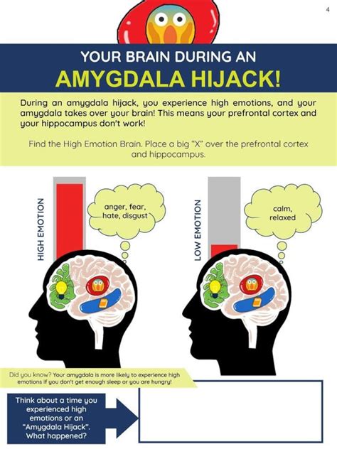 Your Brain And Body During An Amygdala Hijack Etsy Uk