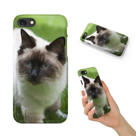 Ragdoll Cat 7 Hard Phone Case Cover For Apple Iphone Ebay