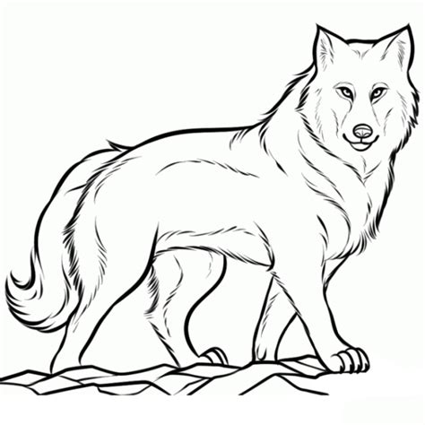 Ausmalbilder wolf in der rubrik ausmalbilder wölfe zum ausdrucken und ausmalen. Schöne Ausmalbilder Malvorlagen Wolf ausdrucken 2