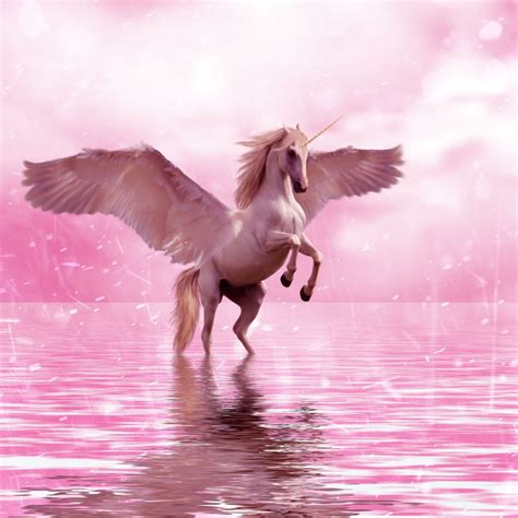 Pin By Matt Cochran On Crafty Unicorn Fantasy Fantasy Posters