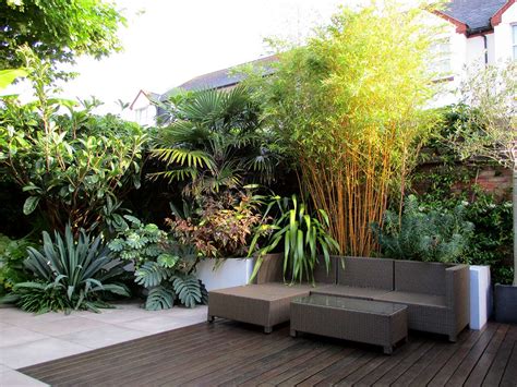 Modern Tropical Garden In Devon