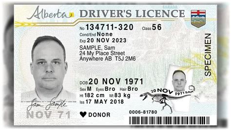 Alberta Drivers Licenses Obtain Copies Or Drivers Licenses From Us