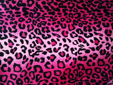 Pink Leopard Print Wallpapers Top Free Pink Leopard Print Backgrounds