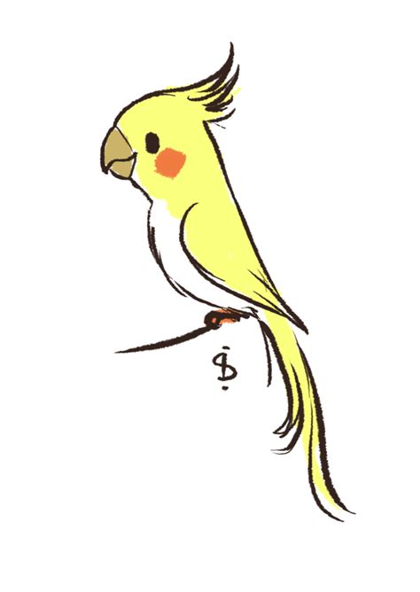 Reblog Blog Only Cockatiel Cartoon Birds Parrots Art Cute Birds
