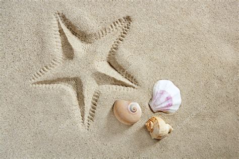 Beach Sand Starfish Print Shells And Sea Snail Summer — Stock Photo