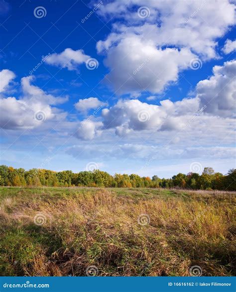 September Landscape With Meadow Stock Photography Image 16616162