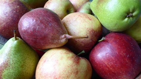 Previsión De Una Menor Cosecha De Pera Y Manzana Valenciafruits