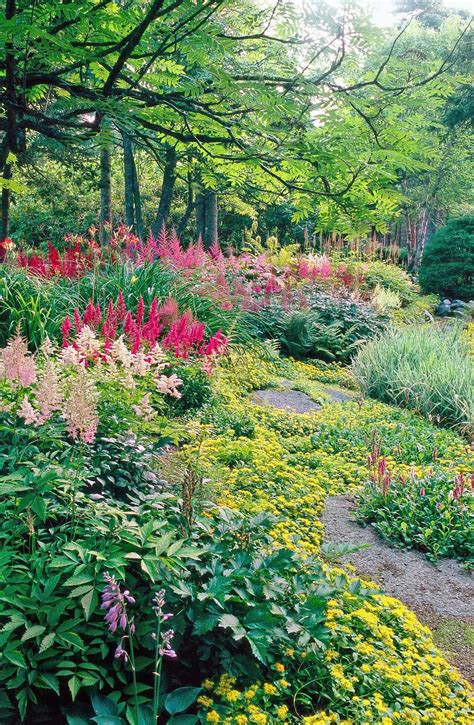 20 Shade Garden Design Ideas That Prove You Can Grow Colorful Plants