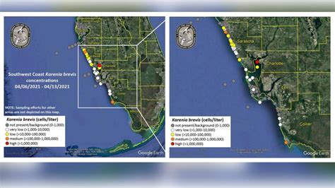 Red Tide Present At Some Sarasota County Beaches