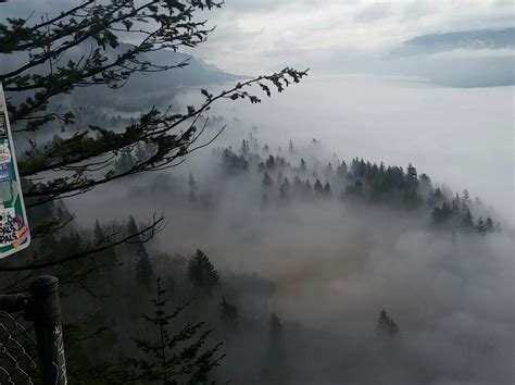 A Foggy Morning In The Pacific Northwest Gorge Right By Stevenson