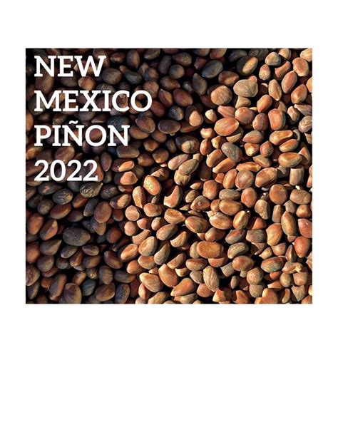 Piñon Fresh Pinon 2022 Harvest Hard Shell Pinion Etsy