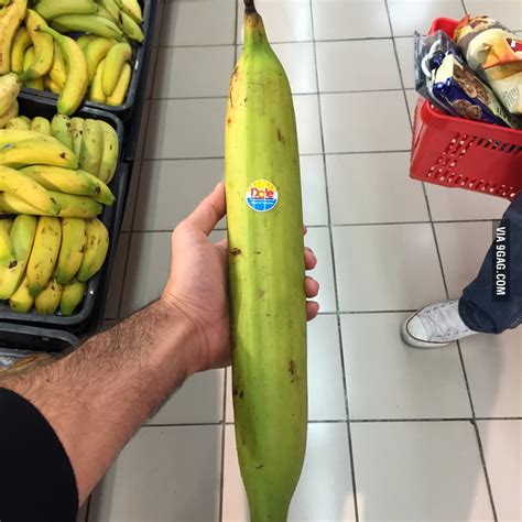 Banana For Scale Gag