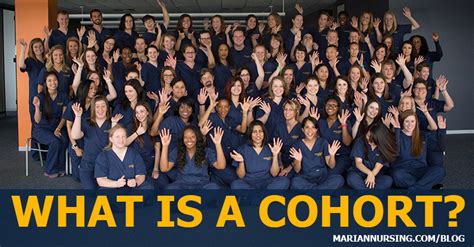 This is the program identifier which indicates that you are have already logged into the system. What is a Cohort? | Marian's ABSN Cohort Explained
