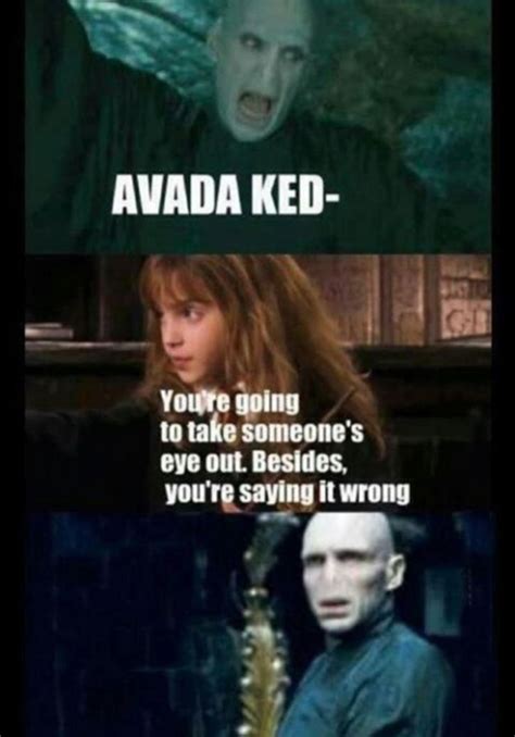 10 Harry Potter Memes That Prove Harry And Hermione Were True Bffs