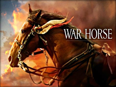 War Horse Dreamworks Animation Wallpaper 33166343 Fanpop
