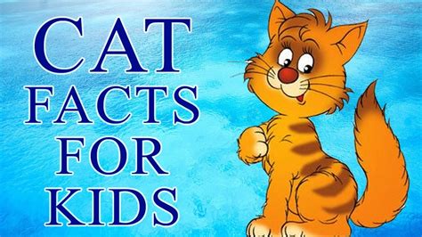 Kids adore visiting zoos and aquariums. Cats - Interesting Facts about Cats & Kittens | Animals For Children | Kids Science | - YouTube