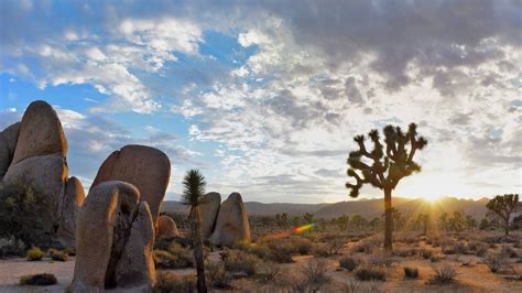 The Best Things To Do In Joshua Tree Joshua Tree National Park
